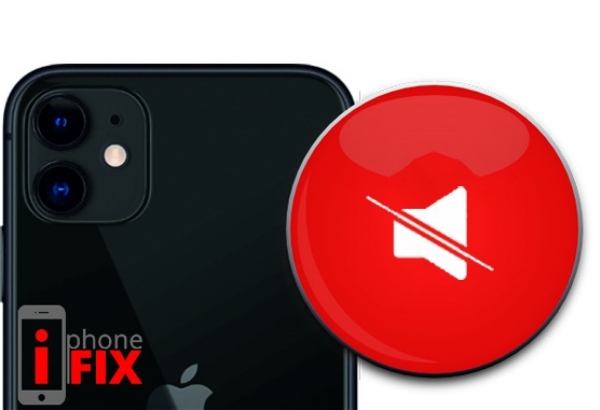 Επισκευή διακόπτη σίγασης  iPhone 12